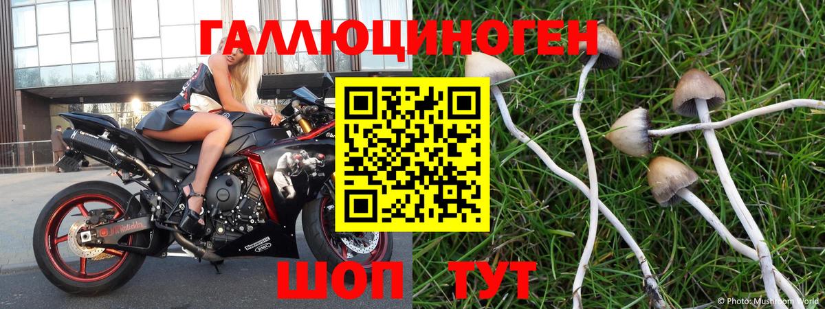 Псилоцибиновые грибы мухоморы Еманжелинск